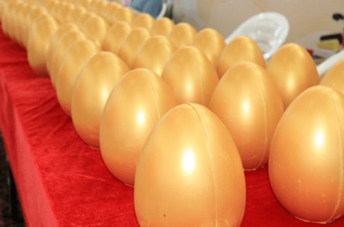 現代日用百貨城全新亮相，浙江食品市場再添消費新地標